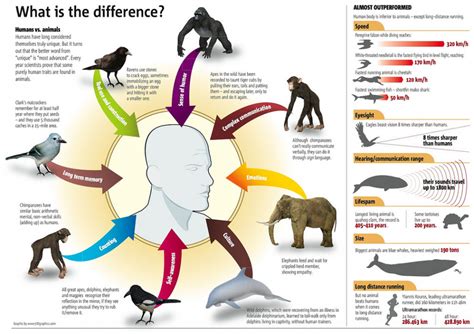 how are human beings similar to mammals